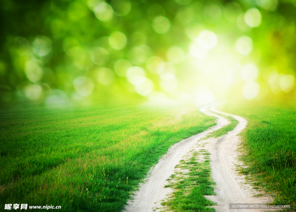 梦幻草原道路