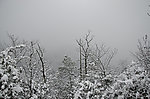 雪景