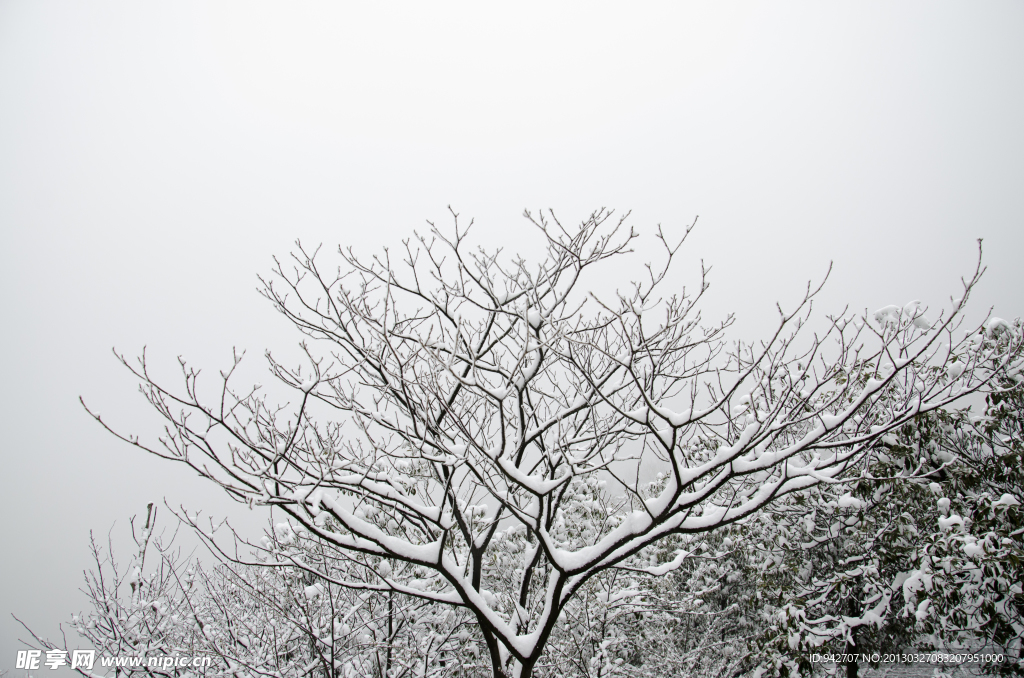 雪景