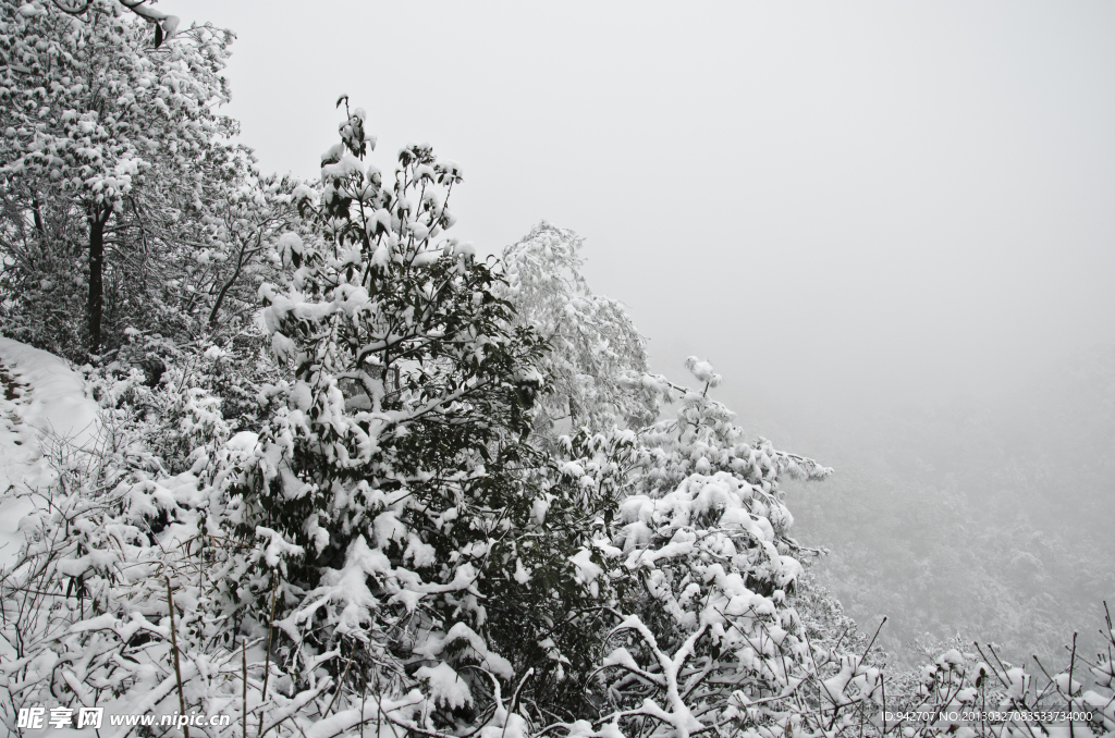 雪景