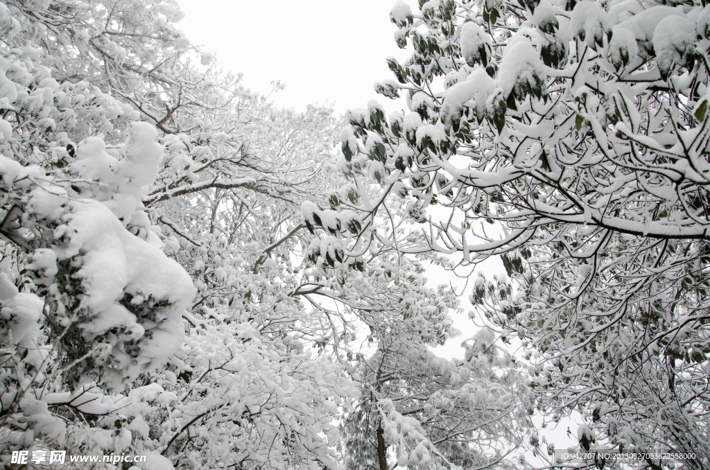 雪景