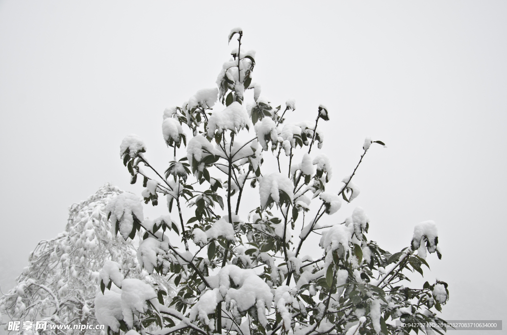 雪景