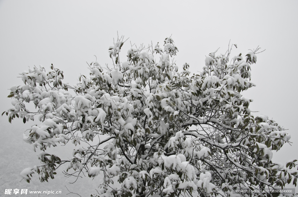 雪景