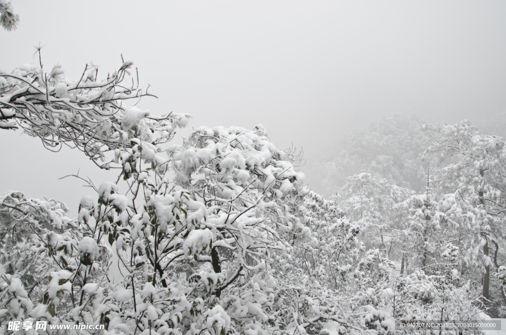 森林雪景