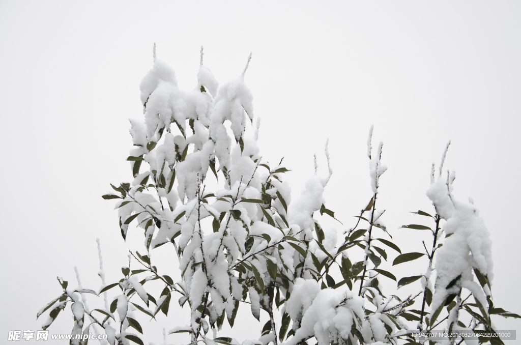 雪景