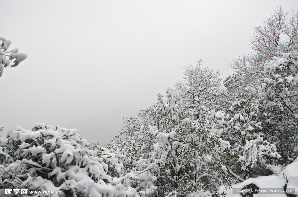 森林雪景