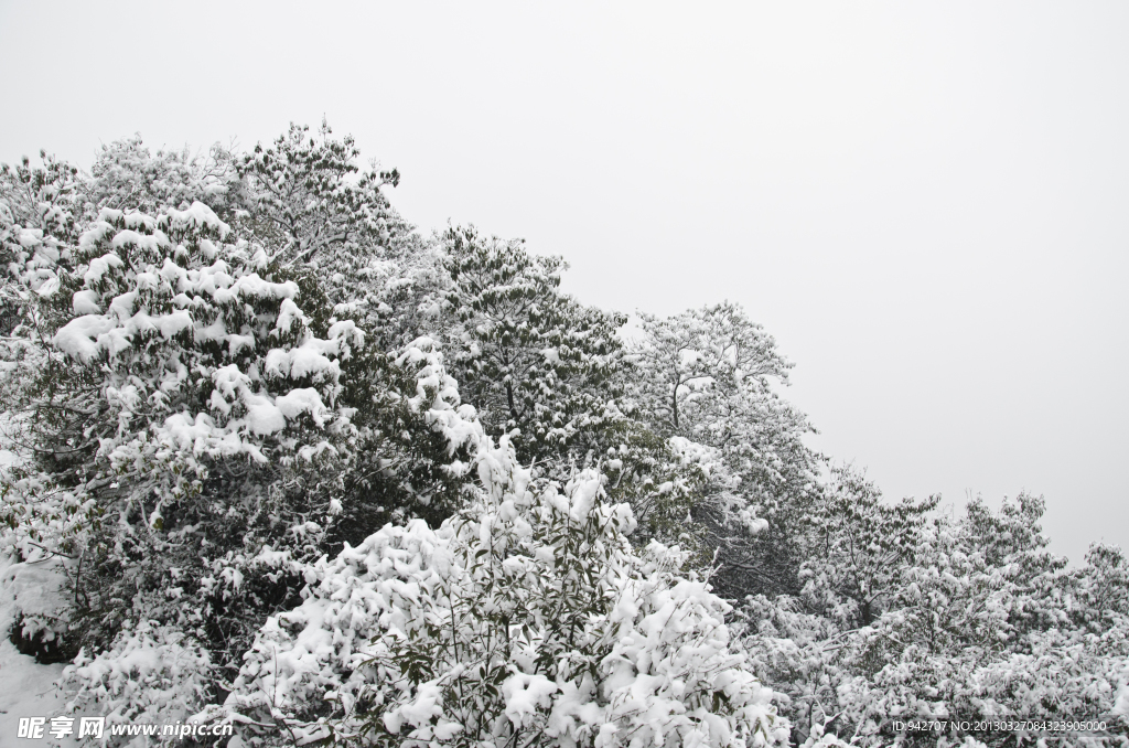 森林雪景