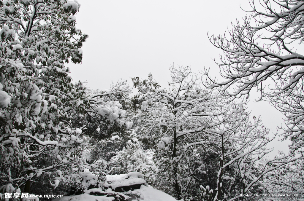 森林雪景