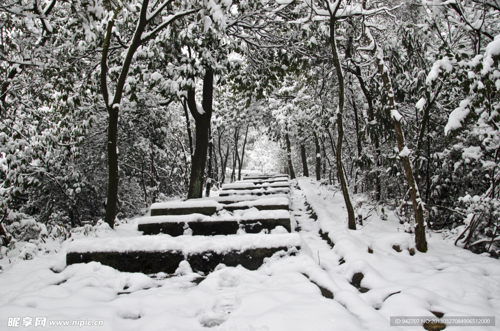 森林雪景