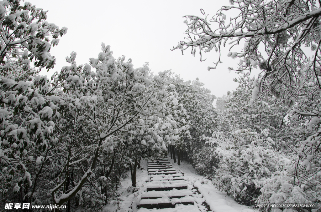 雪景