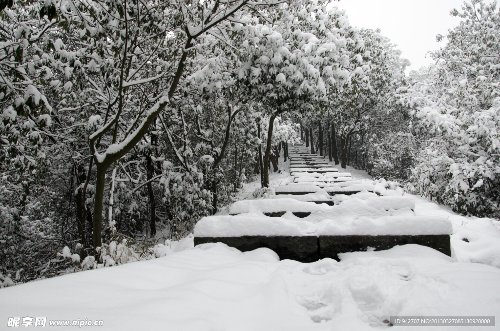 雪景