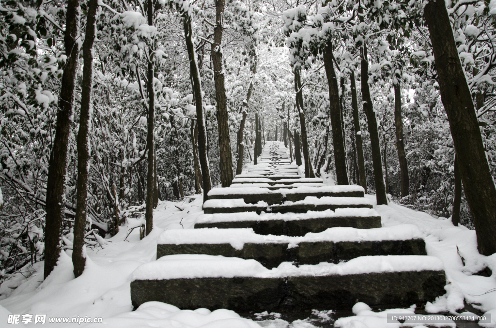 森林雪景