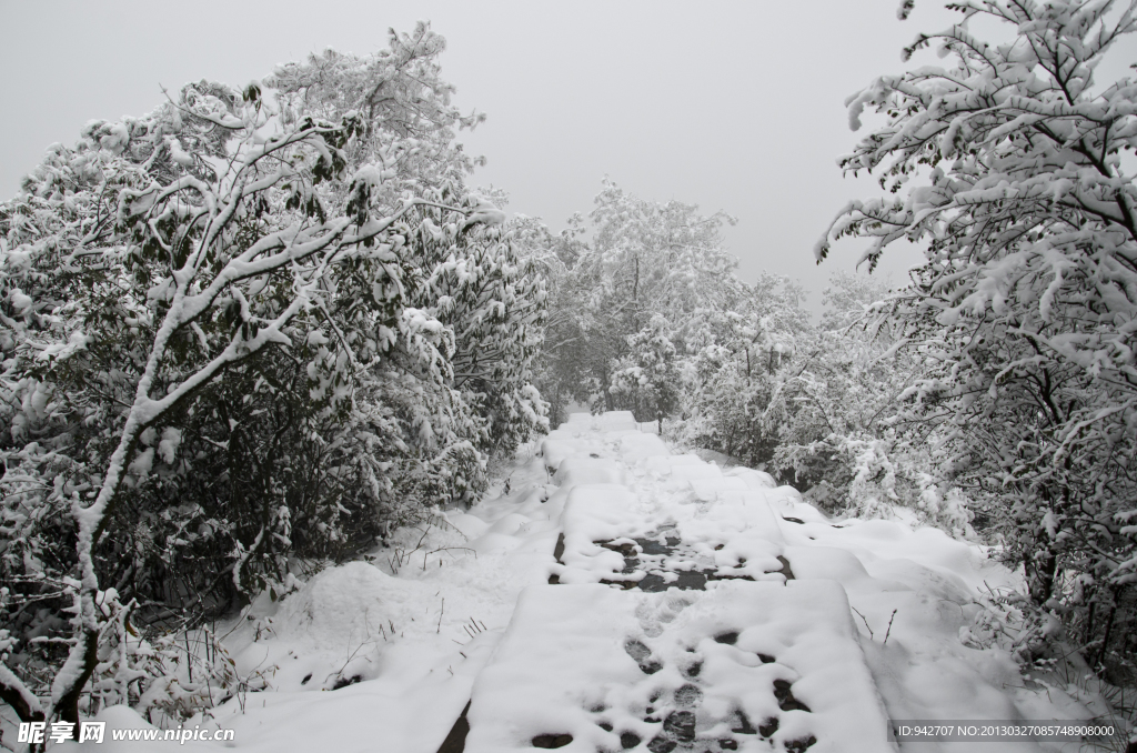 雪景