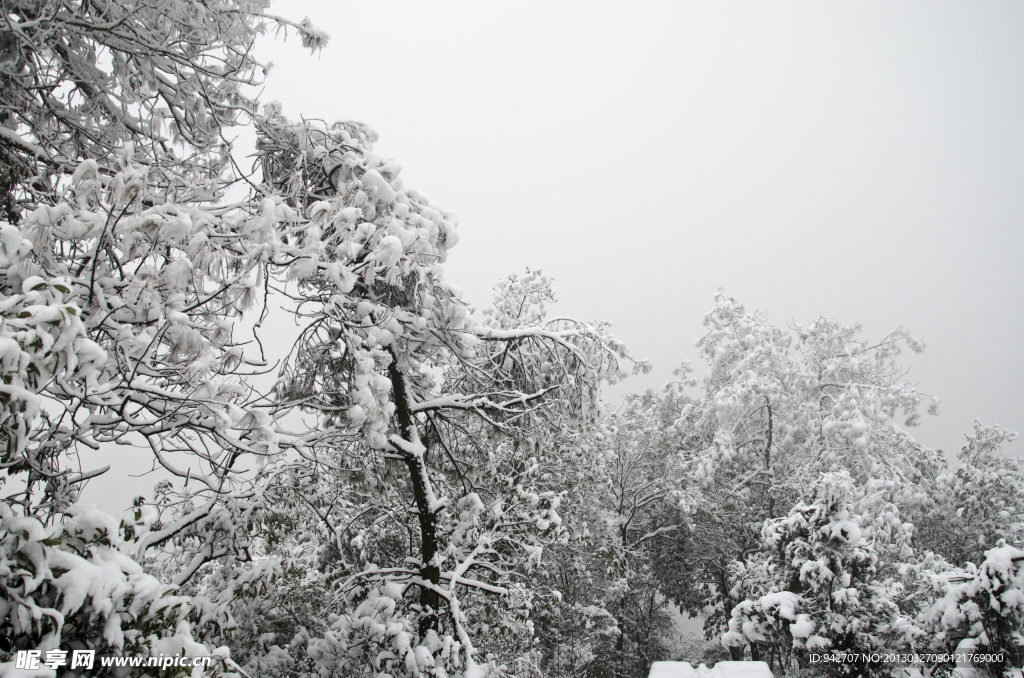 雪景