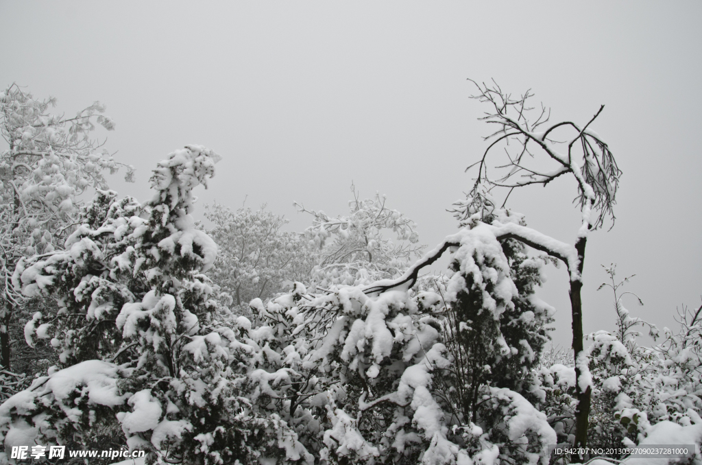 雪景