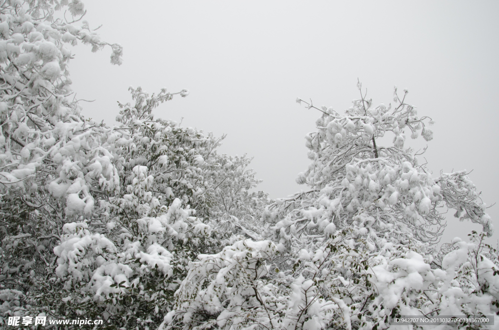 雪景