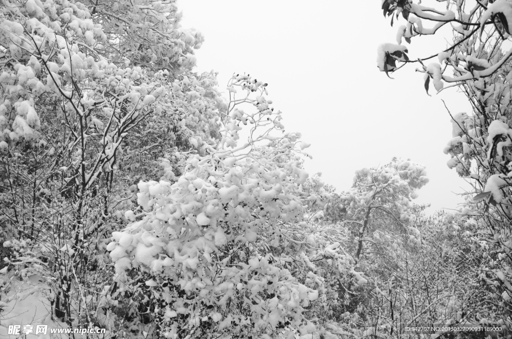 雪景