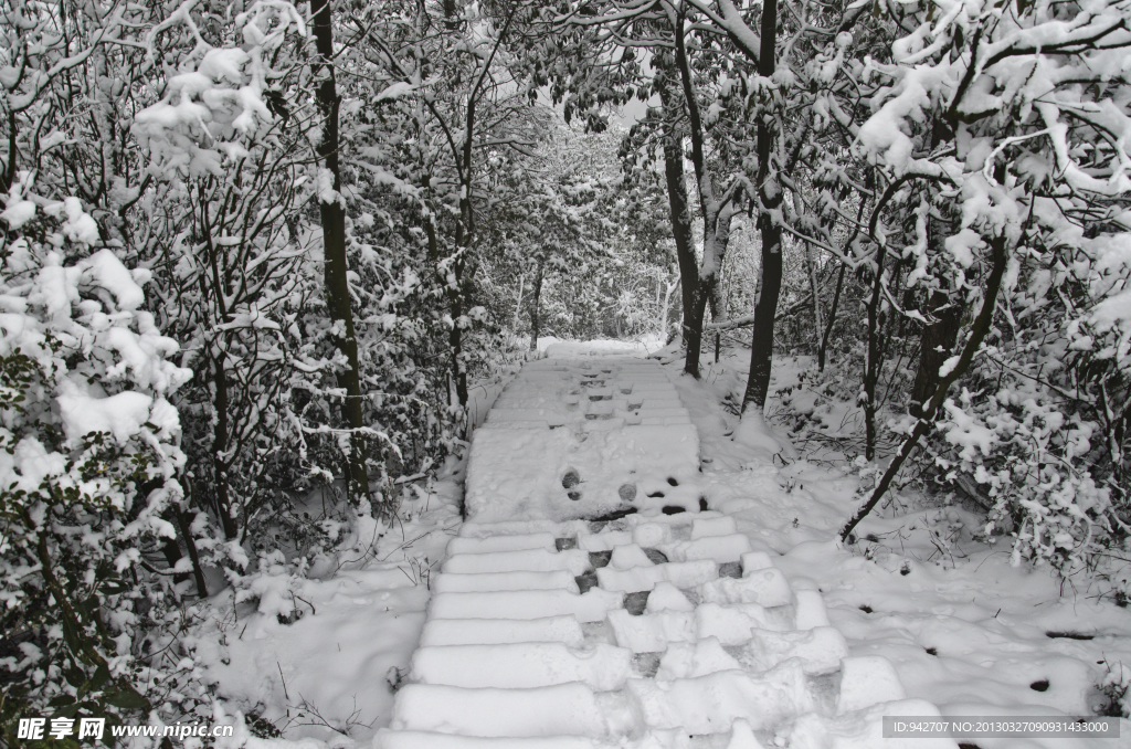 雪景