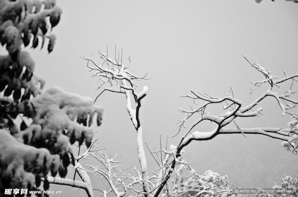 雪景