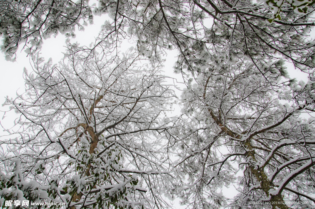 雪景