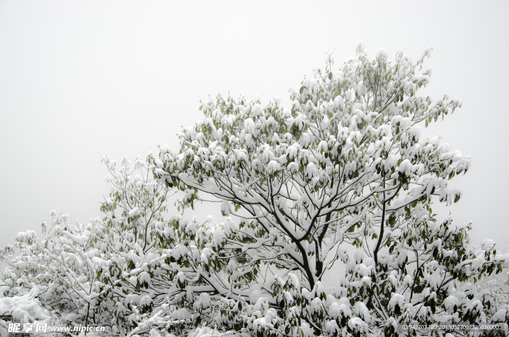 雪景