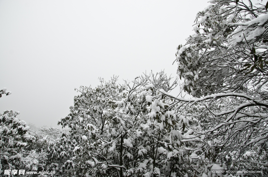 雪景