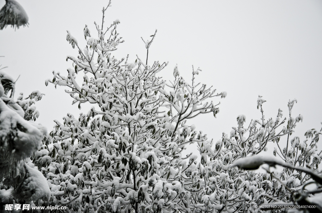 雪景