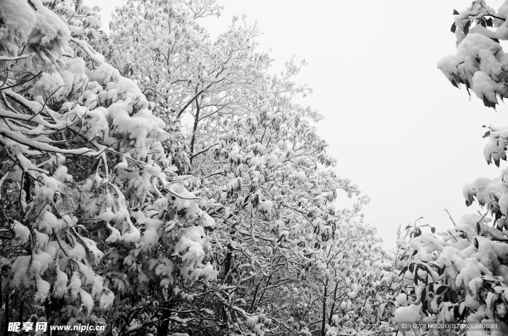 雪景