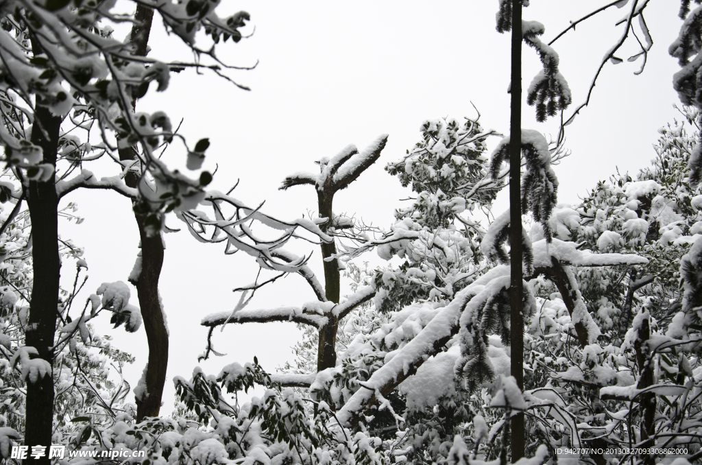 雪景