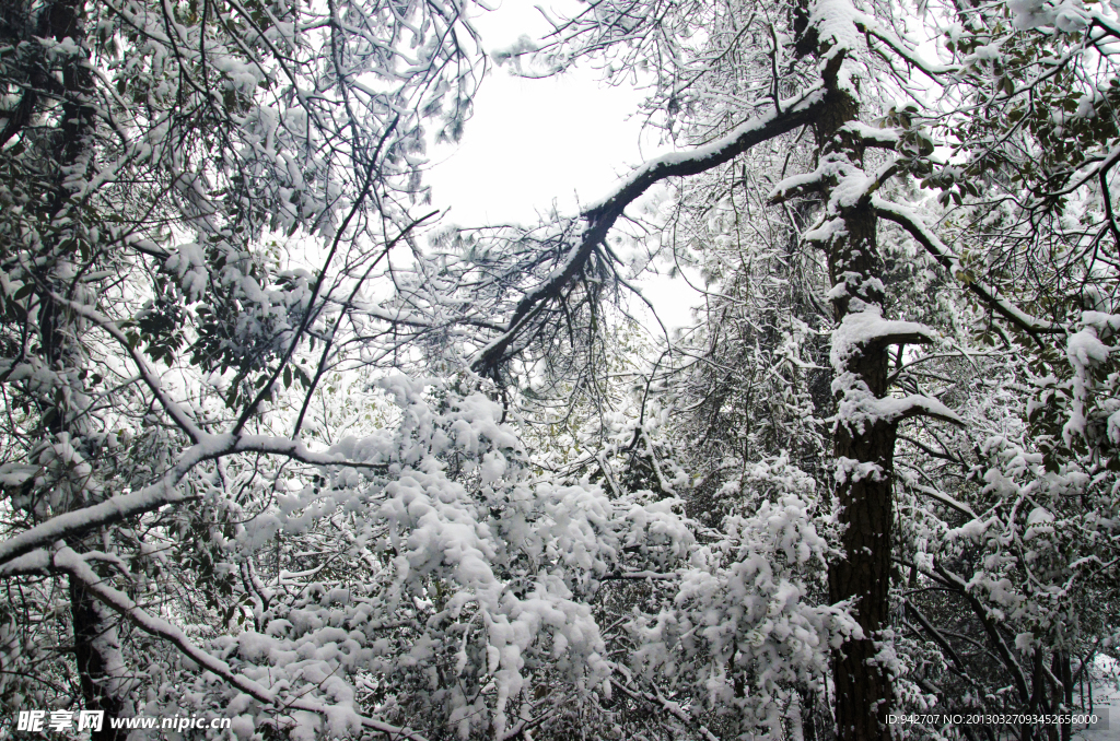 雪景