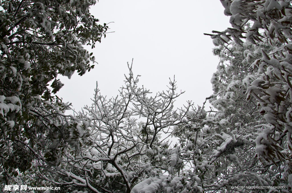雪景