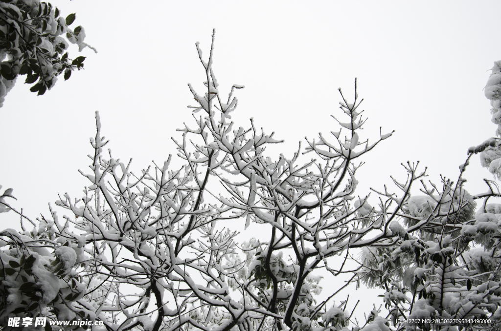 雪景