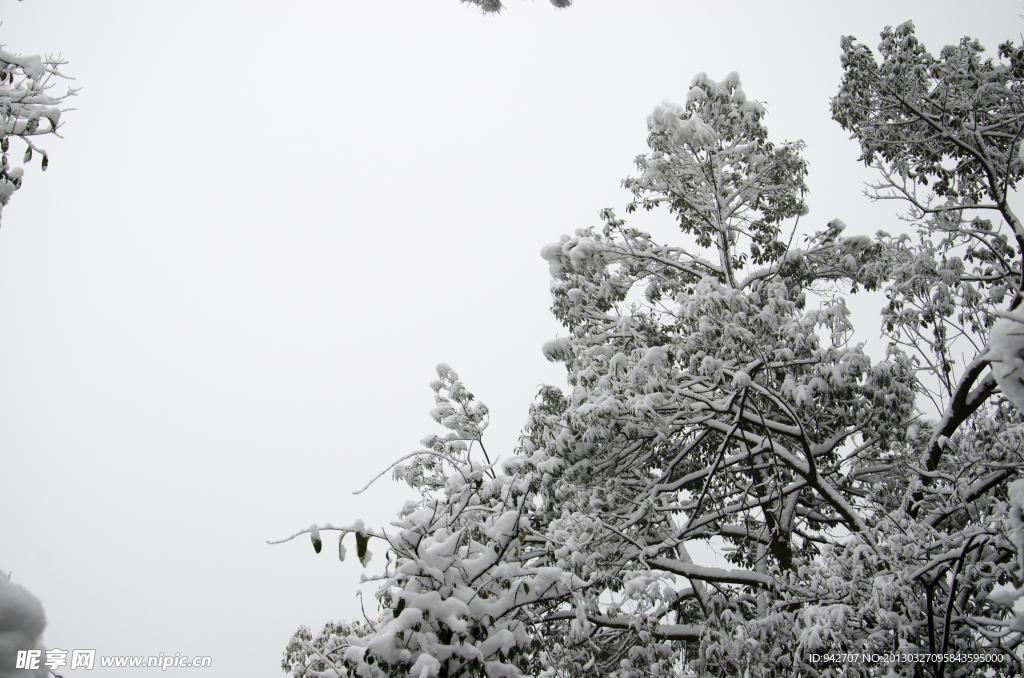 雪景