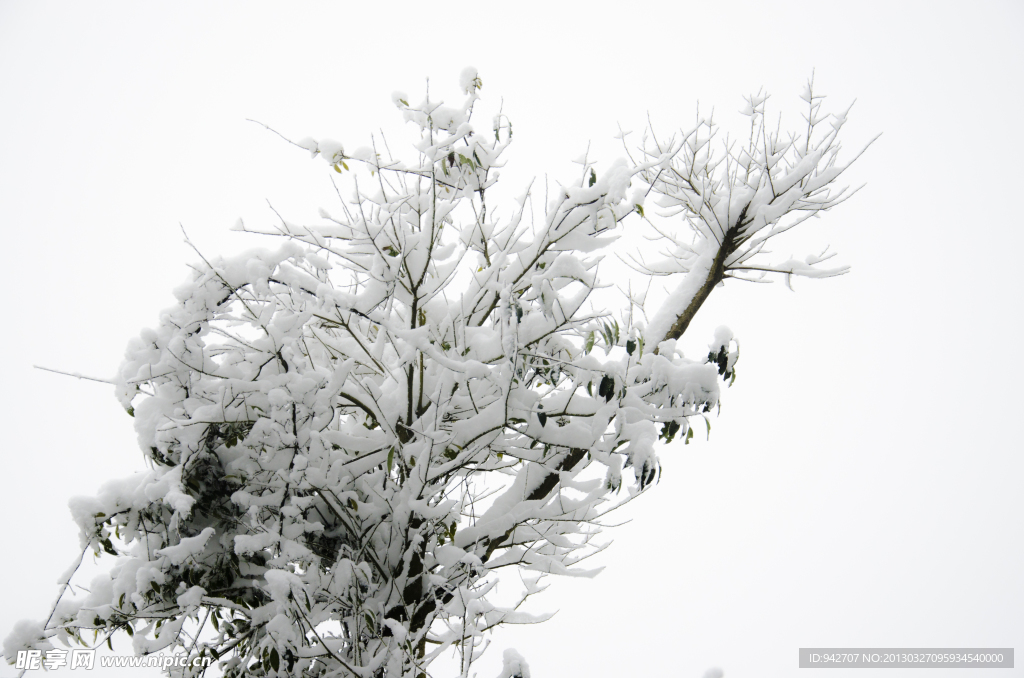 雪景