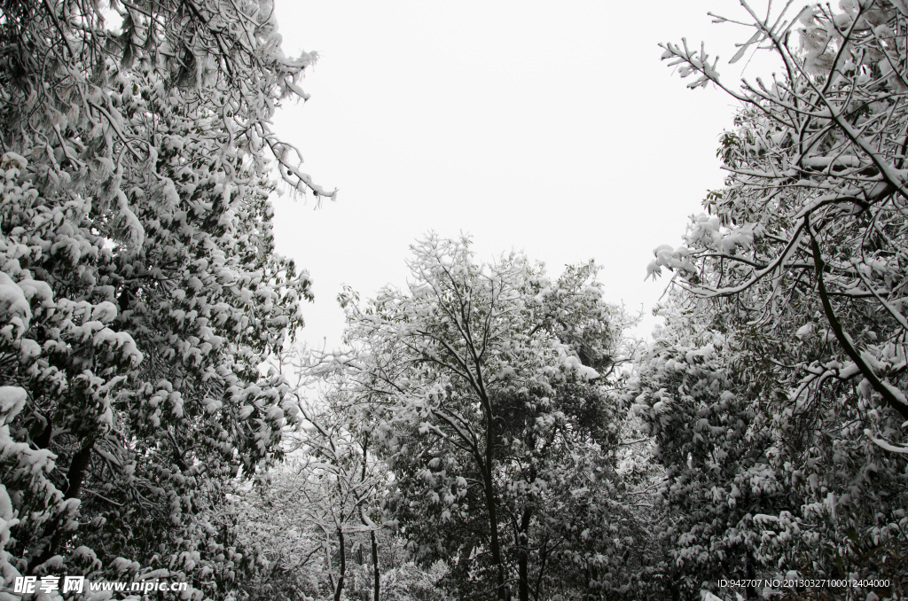 雪景