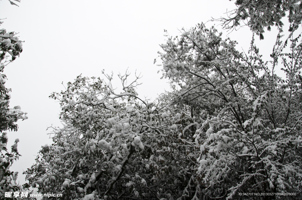 雪景