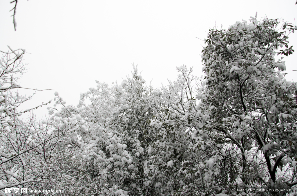 雪景