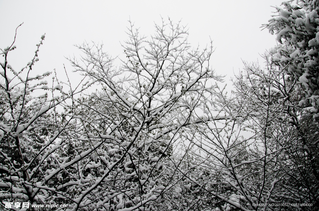 雪景