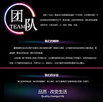 团队TEAM