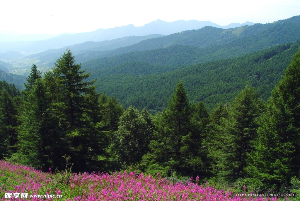 青山