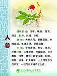 人参药物作用