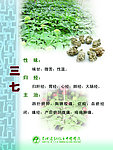 三七药物作用
