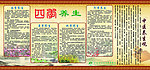 四季养生