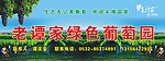 葡萄门头广告