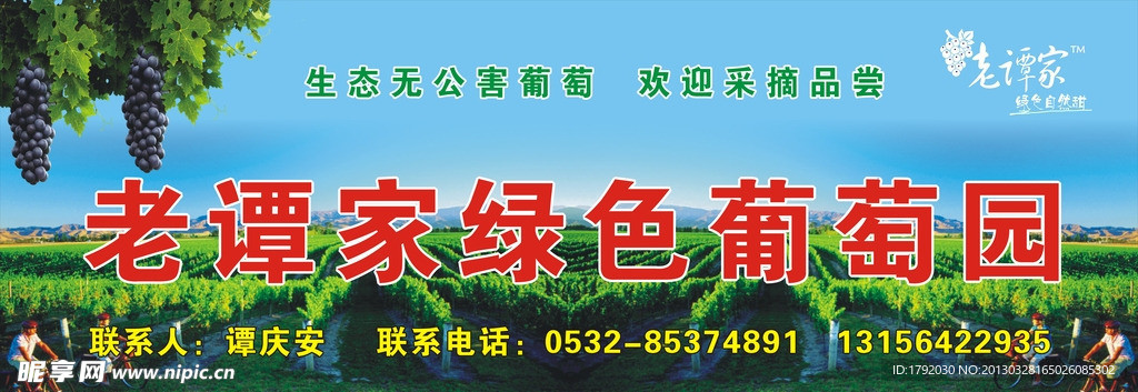 葡萄门头广告
