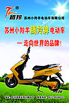 苏州小羚羊