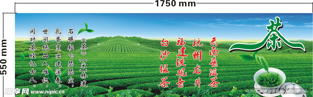 茶 简介