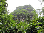 阳朔美景