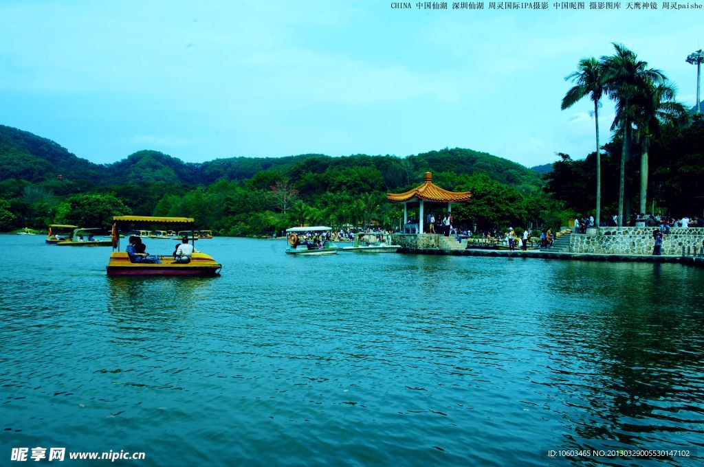 中国仙湖 深圳仙湖