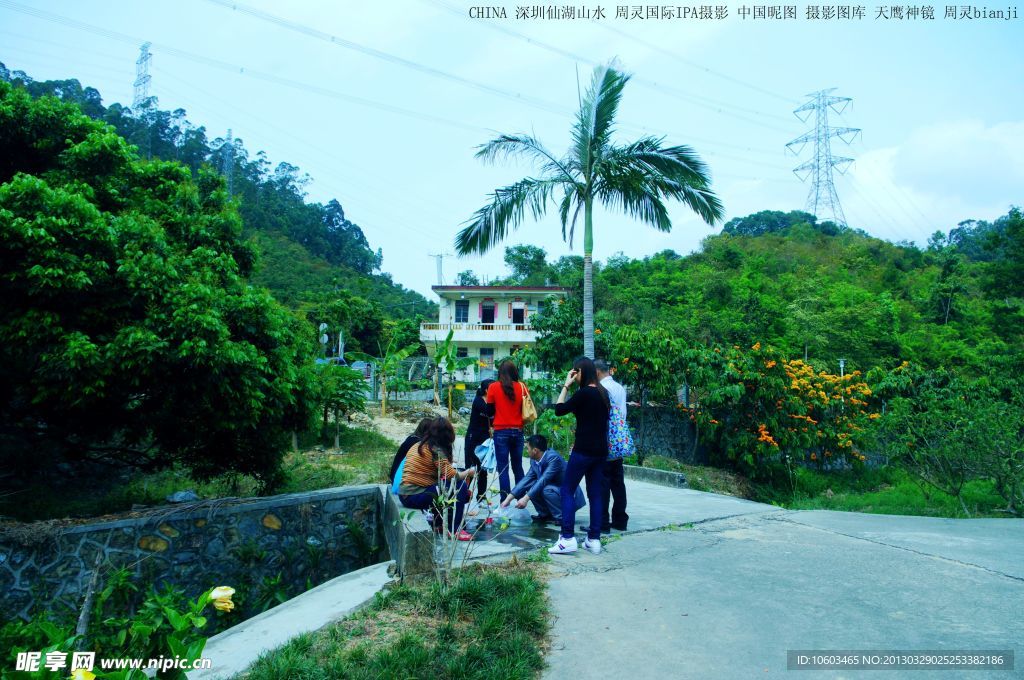 中国仙湖深圳仙湖山水